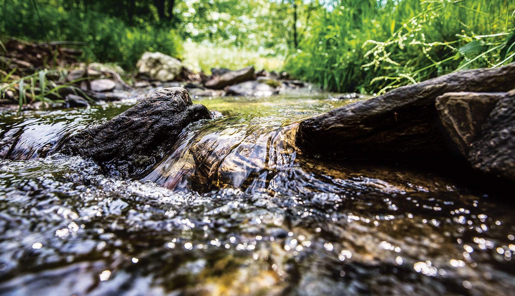Klares Wasser fließt über Steine in einem bewachsenen Bachlauf mit grünem Pflanzenbewuchs im Hintergrund