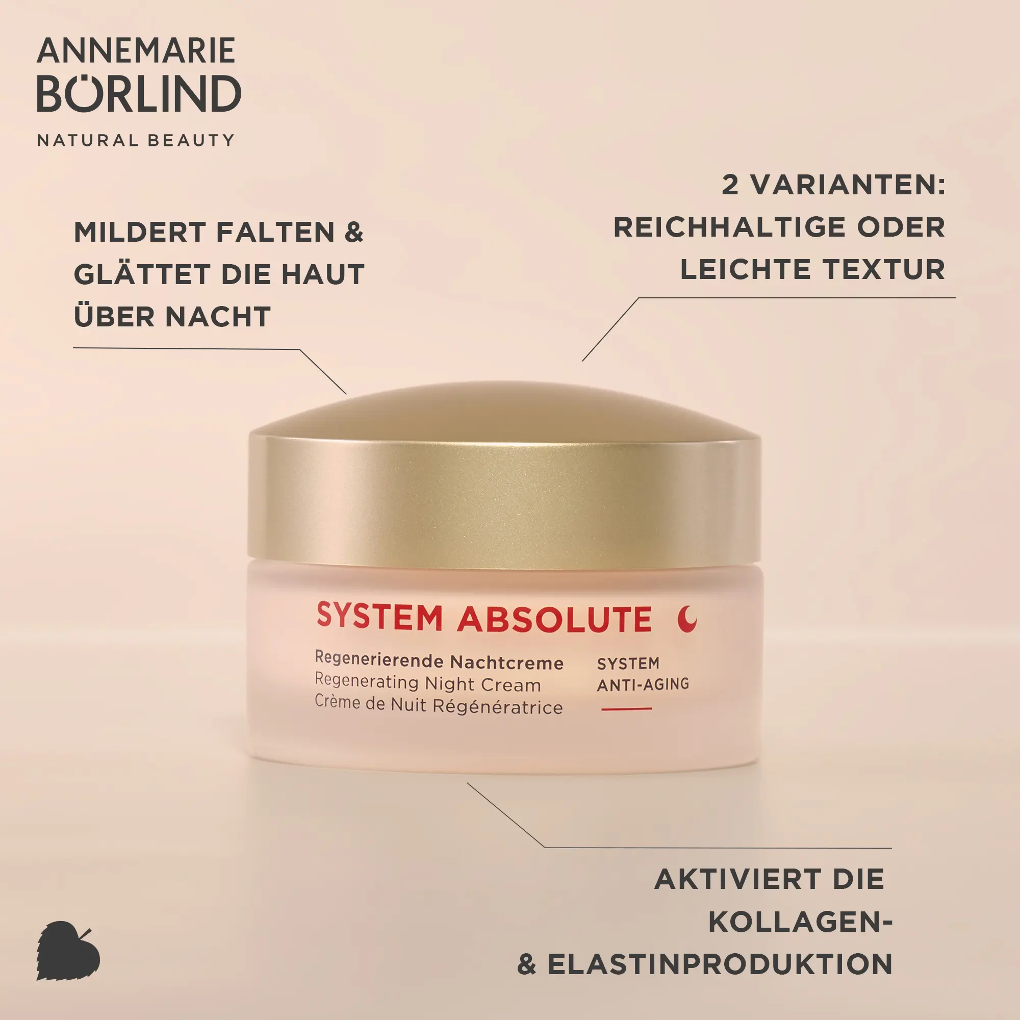 ANNEMARIE BÖRLIND SYSTEM ABSOLUTE regenerierende Nachtcreme mit Anti-Aging, zwei Texturvarianten