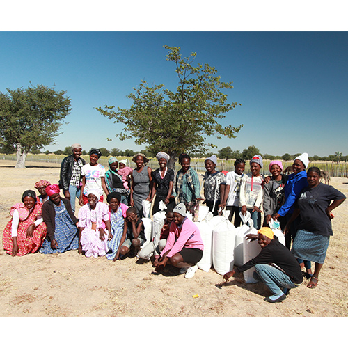 Gruppe von Frauen im Freien mit großen weißen Säcken, Bäume und blauer Himmel im Hintergrund