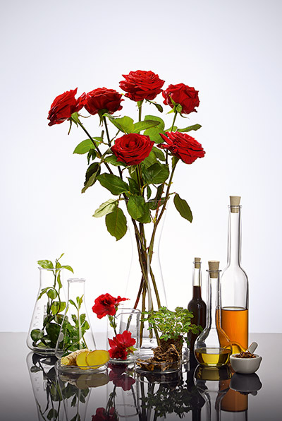 Rote Rosen in Glasvase umgeben von Glasflaschen mit Pflanzen, Öl, Wurzeln und Gewürzen auf weißem Hintergrund