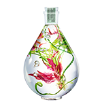 Flasche mit klarer Flüssigkeit, darin rote Blüten und grüne Pflanzen, Tropfen außen sichtbar