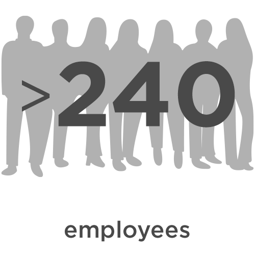 Schattenriss von sieben stehenden Personen mit der Zahl ">240" als Symbol für mehr als 240 Mitarbeitende