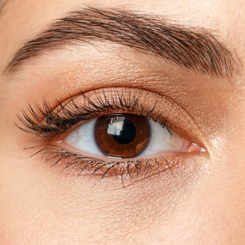 Nahaufnahme eines braunen Auges – Tipps für passendes Augen Make-up bei braunen Augen