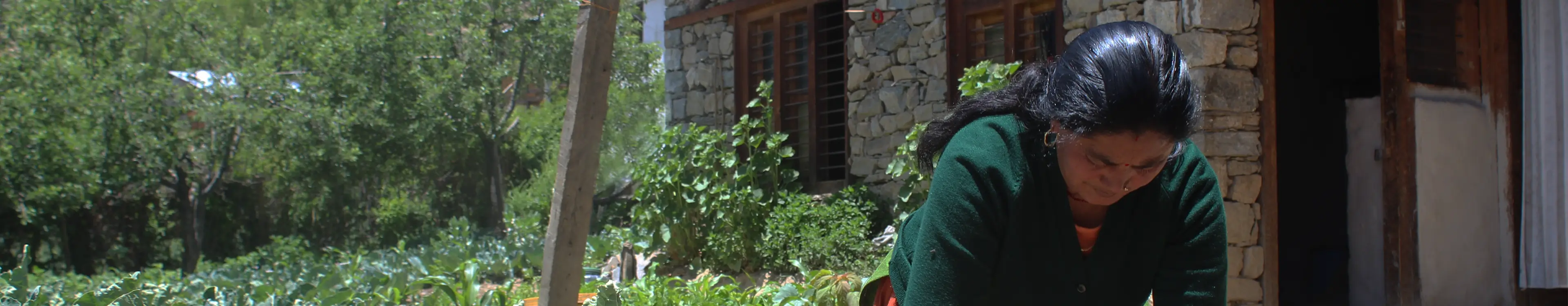Frau arbeitet in einem Garten vor einem Steinhaus, umgeben von Gemüse und Bäumen bei Sonnenschein