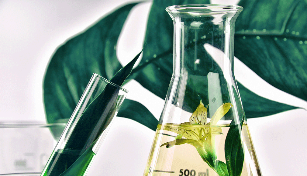 Die Top 5 Anti-Aging-Wirkstoffe