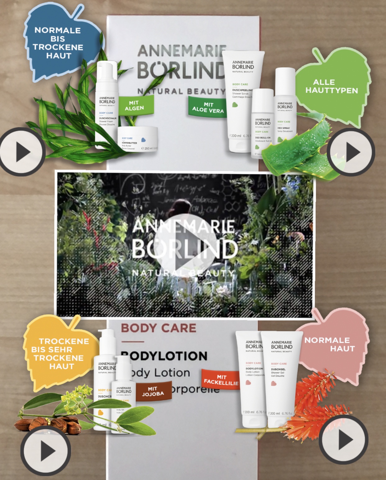 ANNEMARIE BÖRLIND Body Care Produkte für verschiedene Hauttypen mit Algen, Aloe Vera, Jojoba und Fackellilie