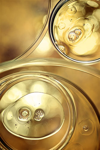 Nahaufnahme von goldfarbenen Flüssigkeitstropfen mit Lichtreflexionen auf transparentem Untergrund