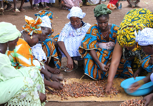Frauen in bunten Kleidern sitzen auf dem Boden und sortieren zahlreiche braune Nüsse auf einer Matte