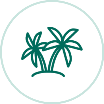 Zwei stilisierte Palmen in dunkelgrün, umgeben von einem hellgrünen Kreis auf weißem Hintergrund