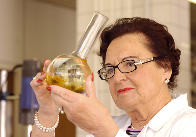 Ältere Frau mit Brille untersucht konzentriert eine runde Glasflasche mit gelber Flüssigkeit und Pflanzen darin