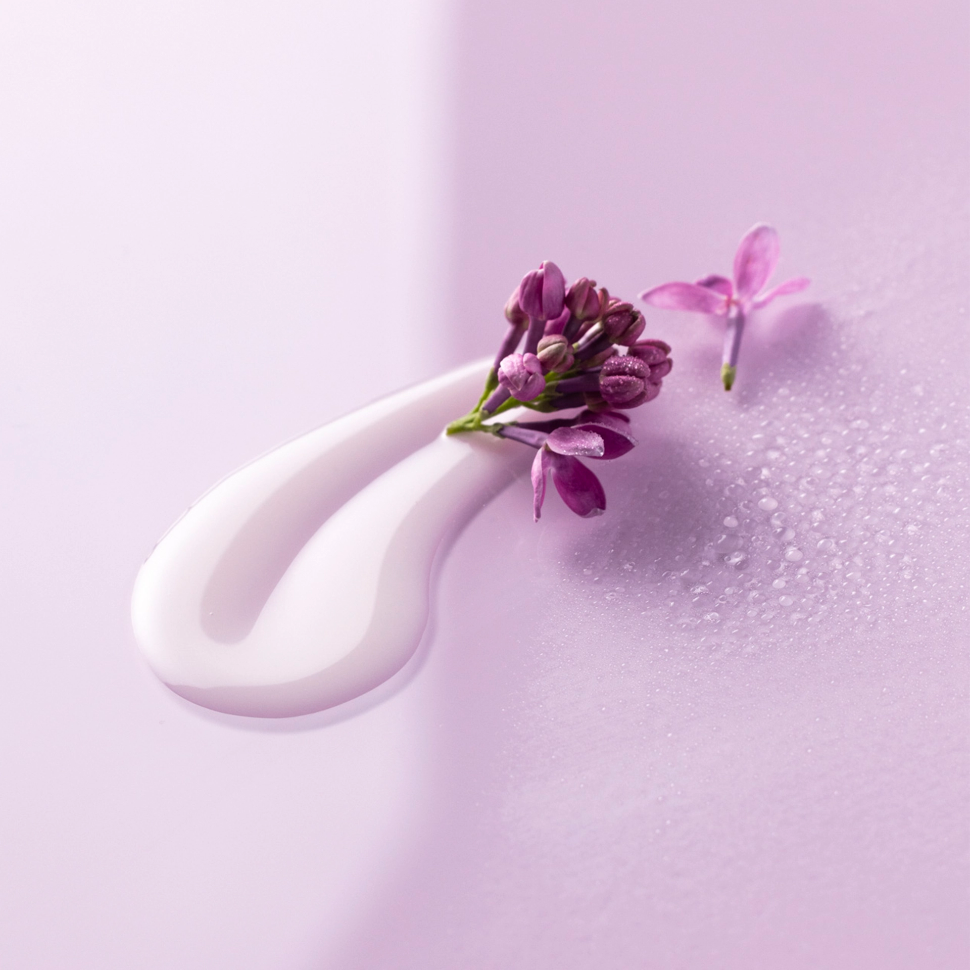 Zwei weiße Cremetropfen und lila Blüten auf pastellviolettem Hintergrund mit Wassertropfen