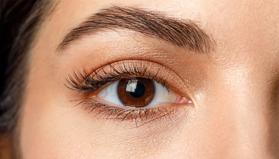 Nahaufnahme eines braunen Auges mit natürlichem Make-up – dezenter Lidschatten in warmen Nude-Tönen, betonte Wimpern und gepflegte Augenbraue.