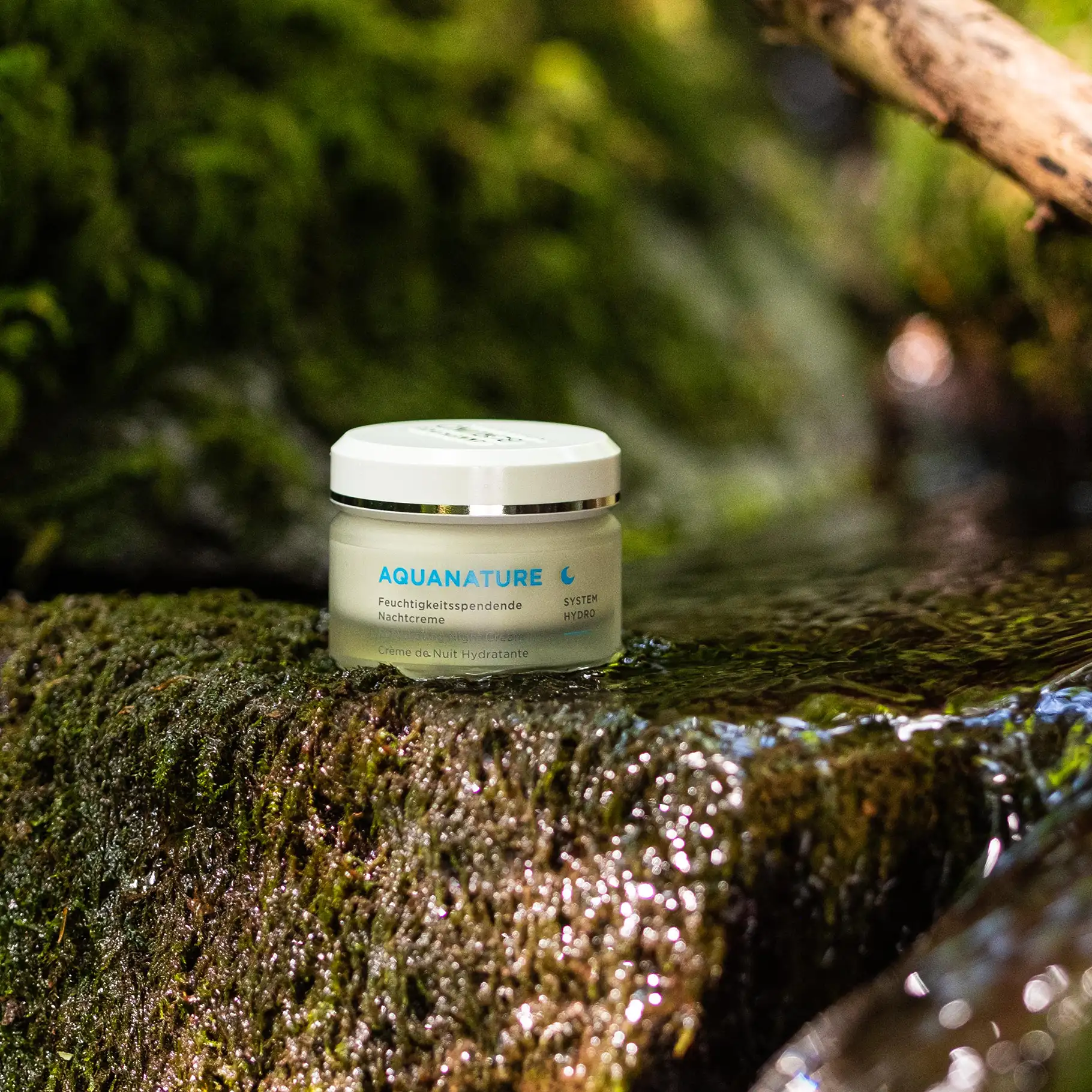 AQUANATURE Feuchtigkeitsspendende Nachtcreme im Glas auf moosbedecktem, feuchtem Stein in Naturumgebung