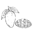 Skizze einer Mango mit Blatt und einer aufgeschnittenen Mangohälfte mit Würfeln