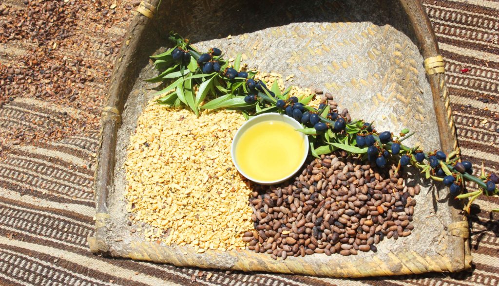 Getrocknete Kakaobohnen, Kakaobutter in Schale, Kakaoschalen und ein Zweig mit blauen Früchten auf geflochtenem Tablett