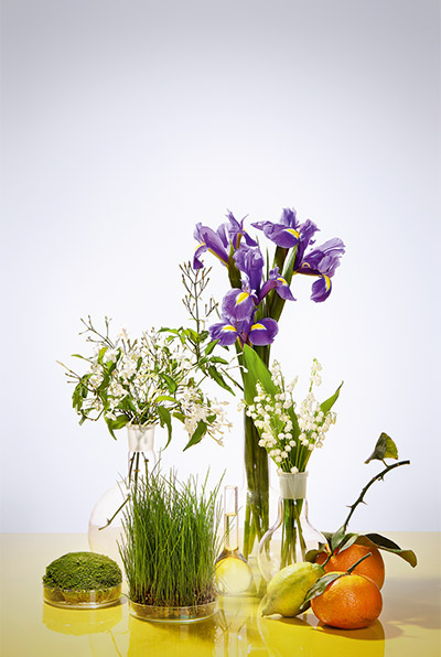 Verschiedene Glasvasen mit lila Iris, Maiglöckchen, weißen Blüten, grünem Gras, Moos und Zitrusfrüchten auf gelbem Untergrund