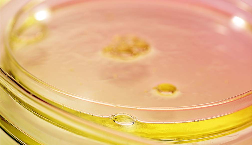 Nahaufnahme von klarem, gelblich schimmerndem Öl in einer transparenten Glas-Schale