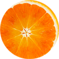 Orangenscheibe mit sichtbaren Segmenten und Saft, leuchtend orangefarben, auf weißem Hintergrund