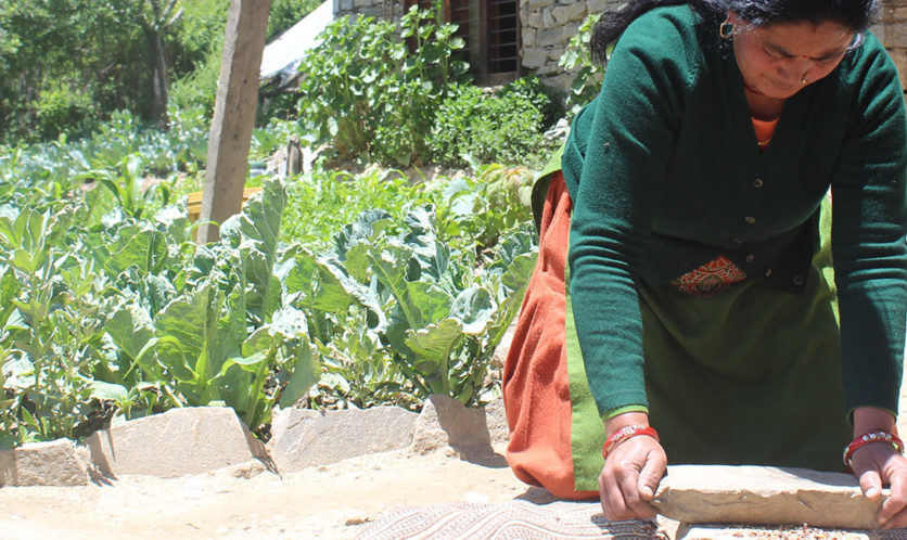 Frau kniet im Garten und bearbeitet Erde vor einem Beet mit grünen Pflanzen und Haus im Hintergrund