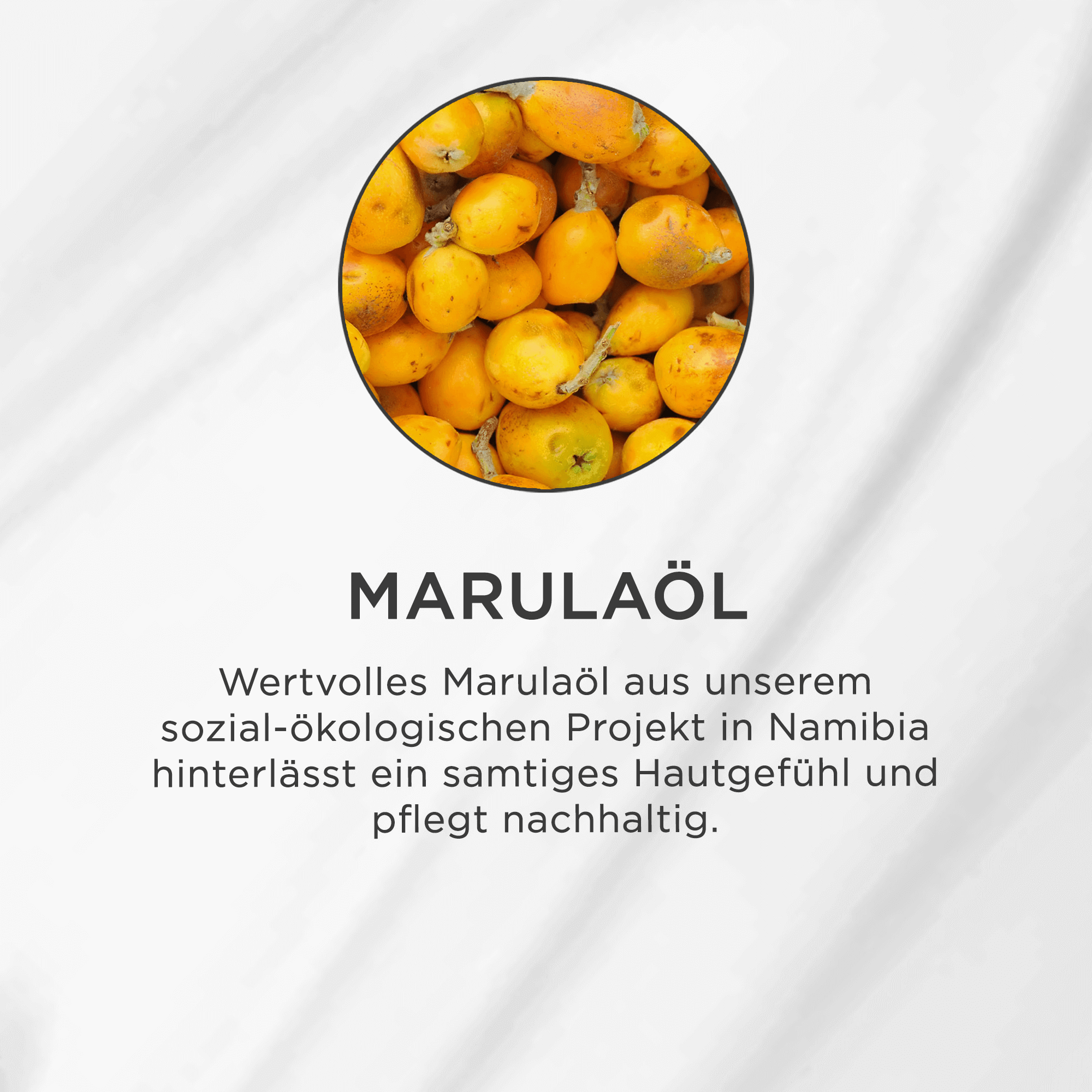 Gelbe Marulafrüchte mit Stielen in einem runden Ausschnitt auf weißem Hintergrund
