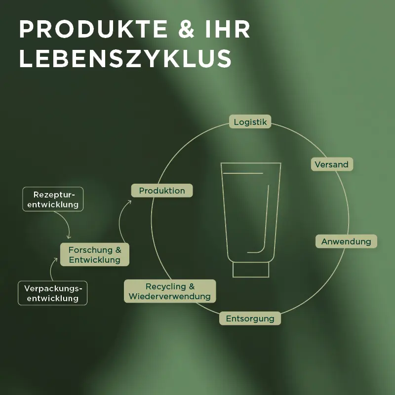 Grafik Produktlebenszyklus und Nachhaltigkeit