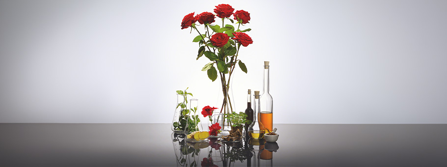 Rote Rosen in Vase mit Kräutern, Zitronenscheiben, Öl- und Essigflaschen auf reflektierender Oberfläche