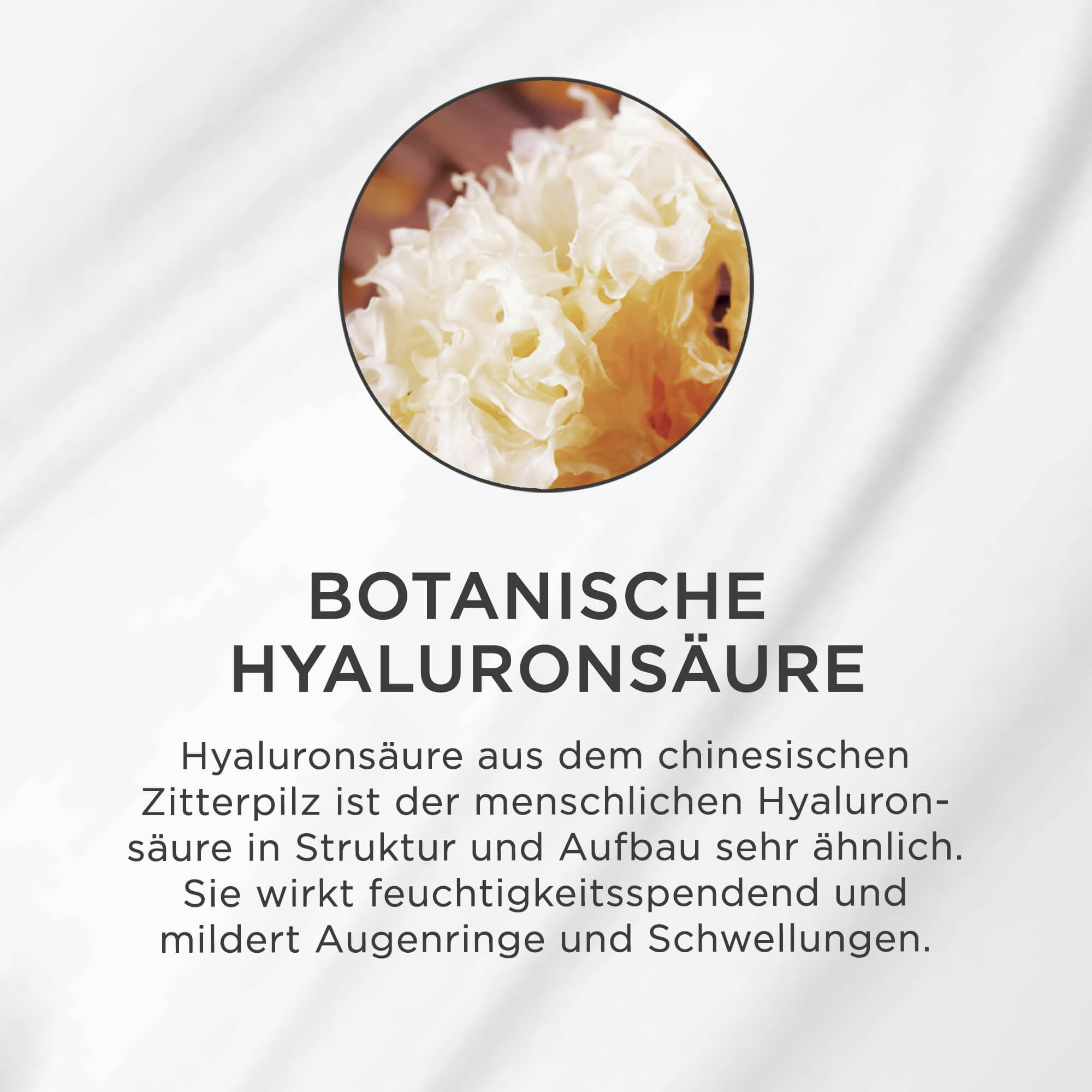 Nahaufnahme des chinesischen Zitterpilzes, Quelle für botanische Hyaluronsäure mit feuchtigkeitsspendender Wirkung