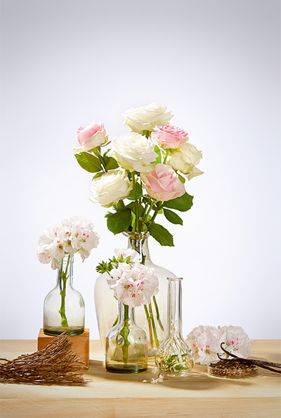 Verschiedene weiße und rosa Rosen und Blüten in Glasvasen auf Holzfläche, daneben getrocknete Zweige und Samenstände