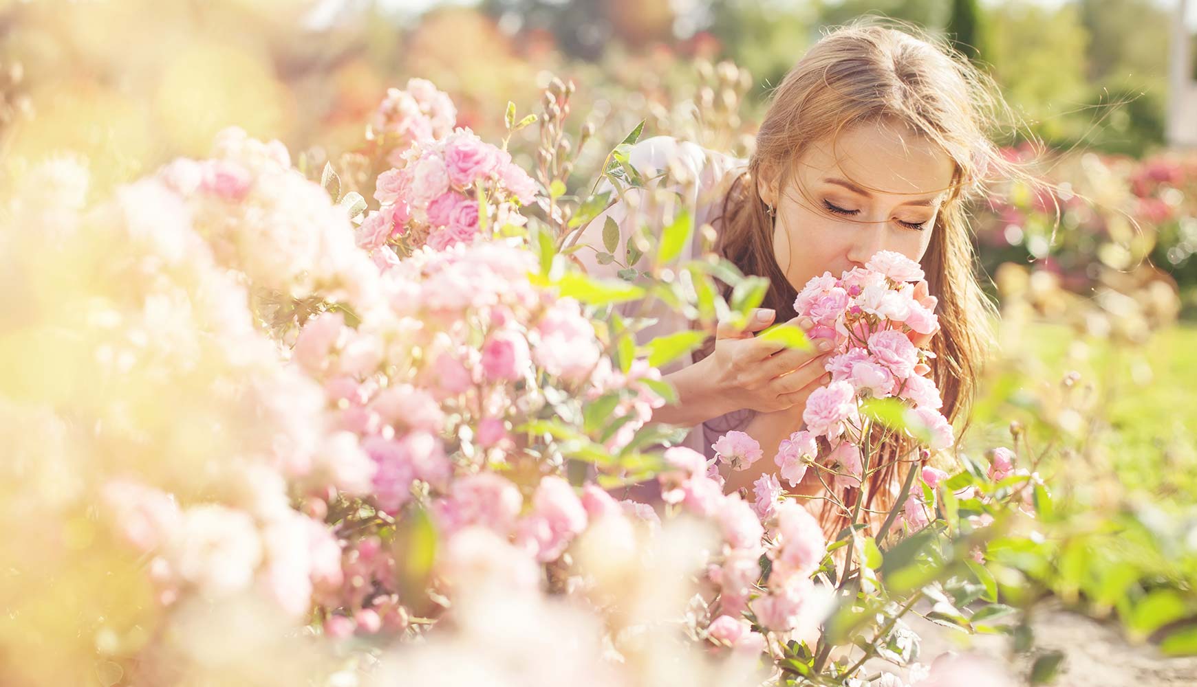 Frau riecht an rosa Rosen in einem sonnendurchfluteten Garten mit grünen Blättern im Hintergrund
