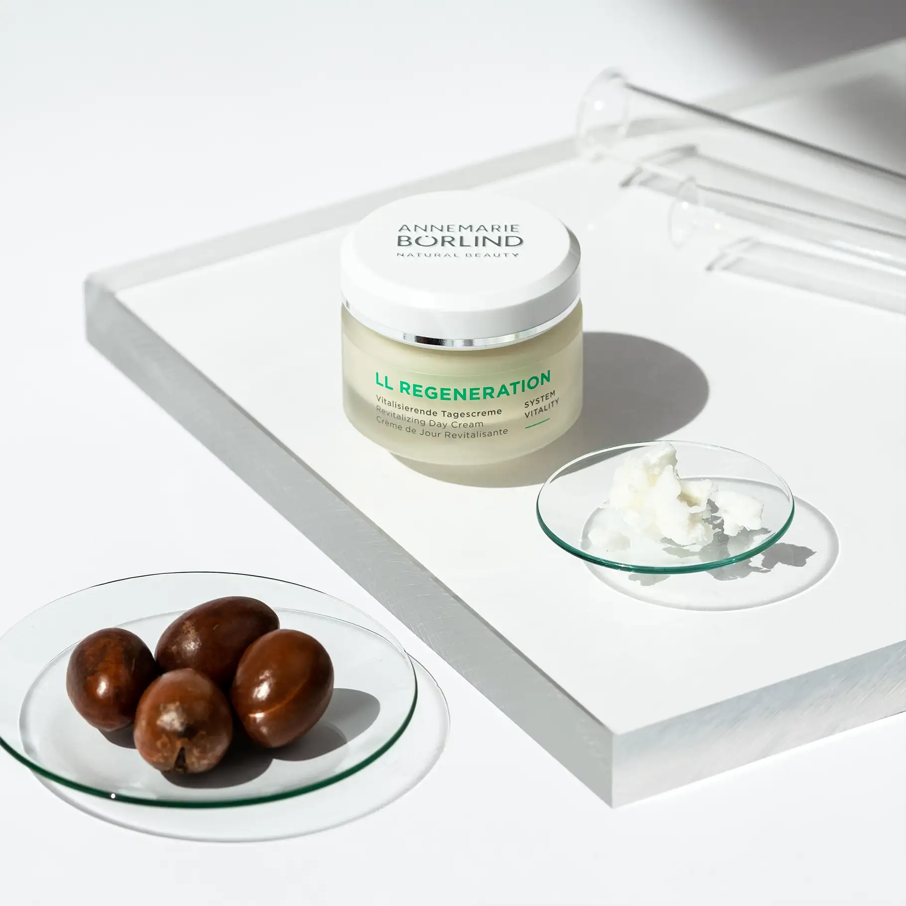 ANNEMARIE BÖRLIND LL REGENERATION Vitalisierende Tagescreme mit Sheabutter und Sheanüssen auf Glasplatten