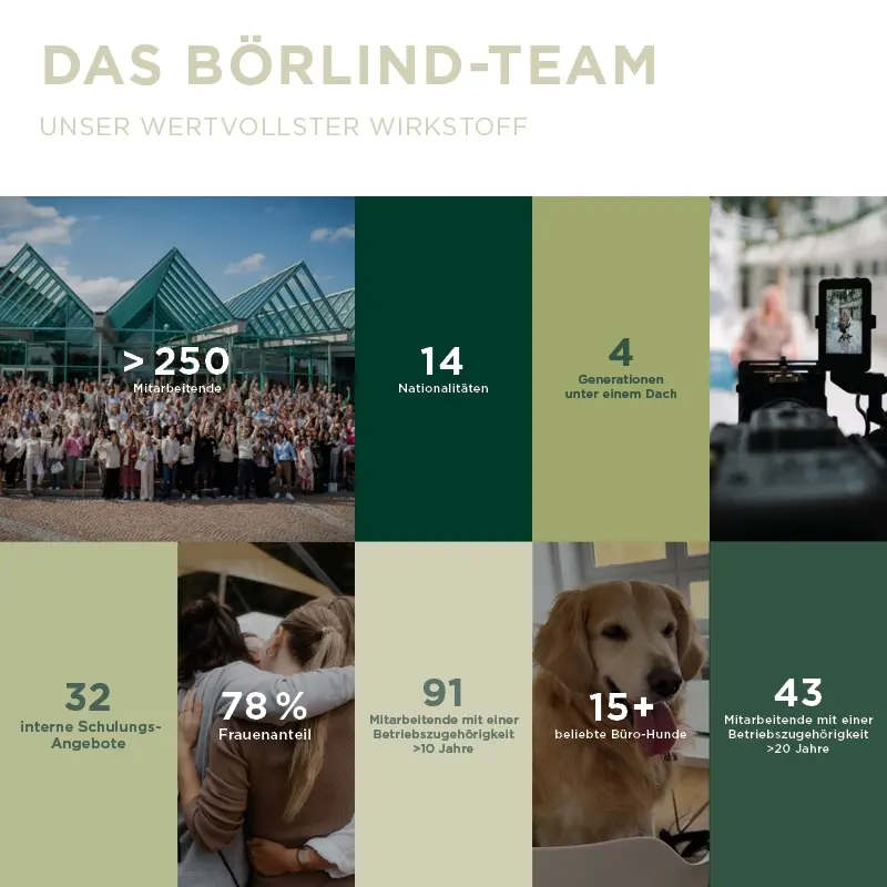 Grafik mit Daten zum BÖRLIND-Team